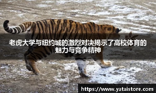 老虎大学与纽约城的激烈对决揭示了高校体育的魅力与竞争精神